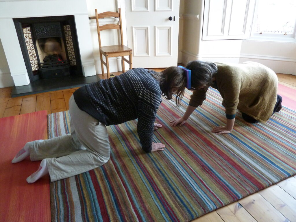 Photo of trainee and teacher crawling together